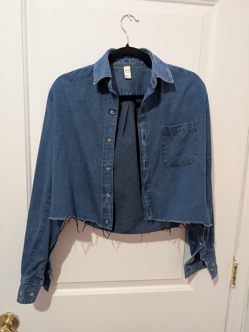 American Apparel Light Blue Denim Shirt (cropped)